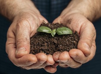 front-view-male-hands-holding-soil-growing-plant