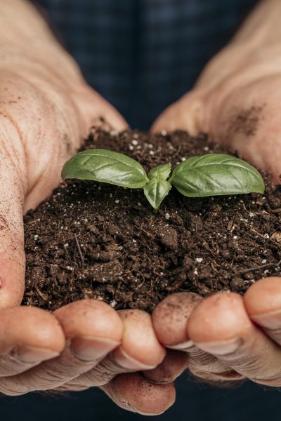 front-view-male-hands-holding-soil-growing-plant